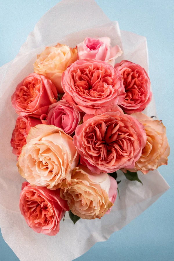 Flores